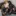 Topflexmodel.com Favicon