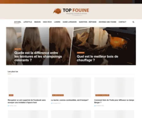 Topfouine.com(Webzine shopping) Screenshot