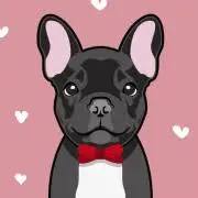 Topfrenchie.com Favicon