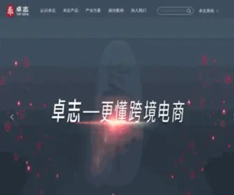 Topideal.com.cn(卓志集团) Screenshot