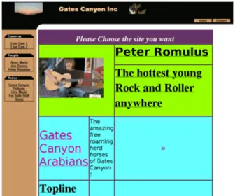 Topline.com(Gates Canyon Inc) Screenshot