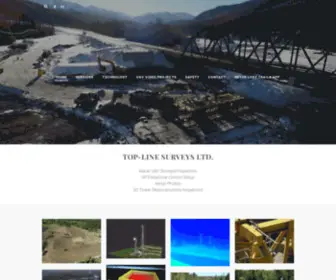 Toplinesurveys.com(Top-Line Surveys Ltd) Screenshot