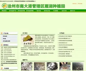 Topnailsandspas.com(罗非鱼苗) Screenshot