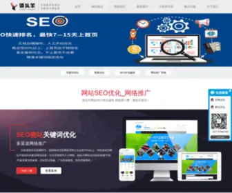 Topniceseo.com(领头羊网络推广营销公司) Screenshot