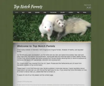 Topnotchferrets.com(Top Notch Ferrets) Screenshot