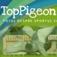 Toppigeon.net Favicon