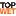 Topwet.ro Favicon