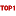 TopXx.net Logo