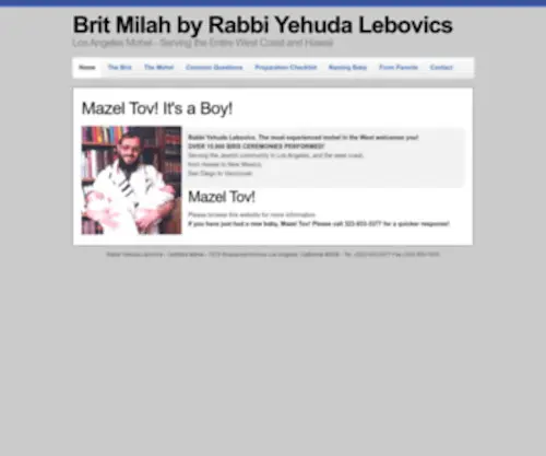 Torahview.com(Rabbi Yehuda Lebovics) Screenshot