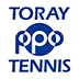 Toray-PPO.com Logo