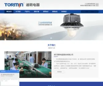 Tormin.com(通明电器网/TORMIN) Screenshot