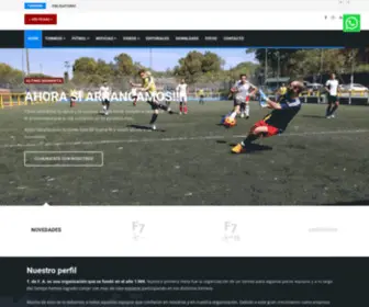 Torneostdefa.com.ar(Organizacion de torneos de futbol) Screenshot