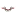 Toroidion.com Favicon