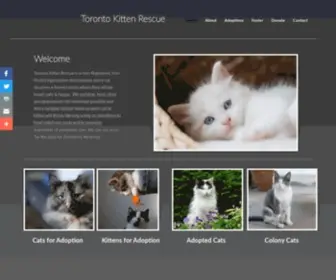 Torontokittenrescue.ca(Torontokittenrescue) Screenshot