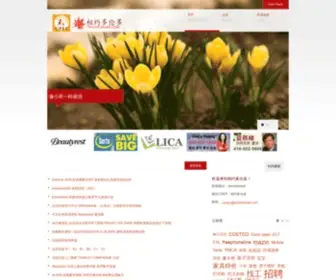 Torontomeet.com(相约多伦多) Screenshot