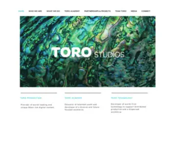 Torostudios.nz(TORO STUDIO) Screenshot