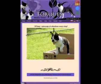 Torques.pl(Boston Terrier) Screenshot