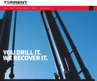 Torrentenergyservices.com(Torrent Energy Services) Screenshot