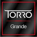 Torrogrande.com Favicon