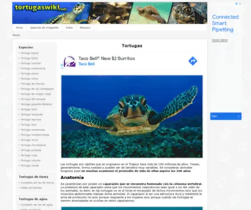 Tortugaswiki.com(Tortugas: guía de especies) Screenshot