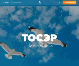 Toser-NK.ru(Главная) Screenshot