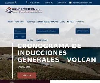 Tosol-Peru.com(Grupo Tosol Peru) Screenshot