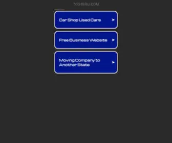 Tosteru.com(Create an Ecommerce Website and Sell Online) Screenshot