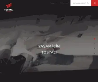 Tosyaliholding.com.tr(Ana Sayfa) Screenshot