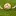 Totalfootballforums.com Favicon