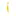 Totalphysiocare.com.au Favicon