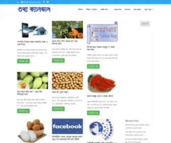 Tothocanvas.com(তথ্য) Screenshot