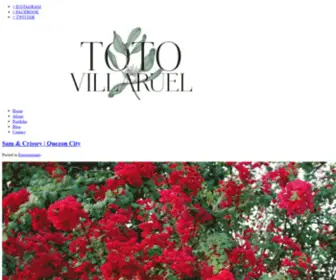 Totovillaruel.com(Toto Villaruel) Screenshot