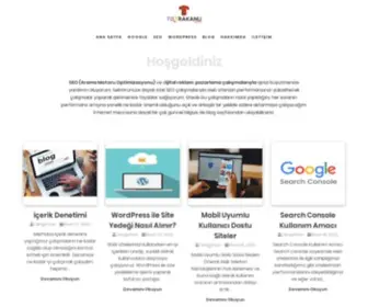 Totrakanli.com(Stratejik SEO ve Google Ads çalışmaları ve Dijital Satış) Screenshot