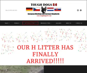 Toughdogsk9.com(European Working Line German Shepherds) Screenshot