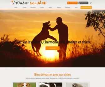 Toutsurleschiens.com(Tout sur les chiens) Screenshot