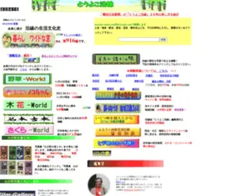 Touyoko-Ensen.com(とうよこ沿線) Screenshot