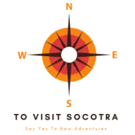 Tovisitsocotra.com Logo