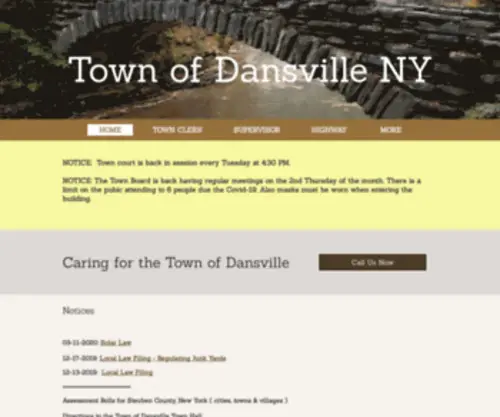 Townofdansvilleny.com(Townofdansvilleny) Screenshot