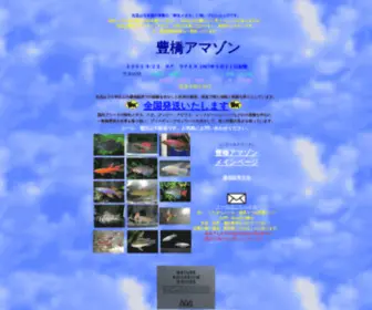 Toyoama.jp(豊橋アマゾンＴＯＰ) Screenshot