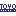 Toyomillennium.com Logo