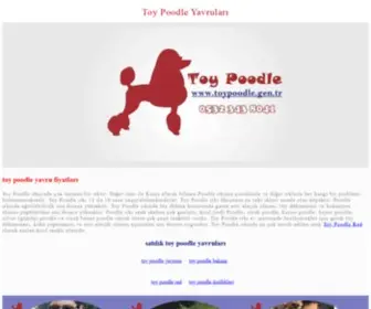 Toypoodle.gen.tr(Toy Poodle Sahiplenme) Screenshot