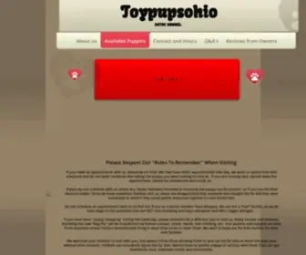 Toypupsohio.com(Maltipoo, shipoo, yorkiepoo, Teddy bear, Shorkie, Morkie, Shichon, Zuchon) Screenshot