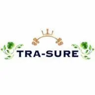 Tra-Sure.com Favicon