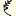 Tracychipman.net Favicon