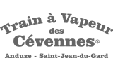 Trainavapeur.com Favicon