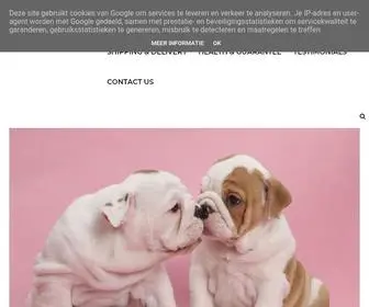 Trainbulldogshome.com(Train English bulldog Puppies For Sale) Screenshot