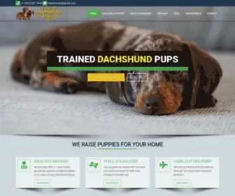 Traineddachshundpups.com(TRAINED DACHSHUND PUPS) Screenshot