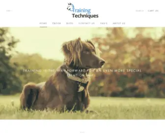 Trainingstechniques.com(Training Techniques) Screenshot