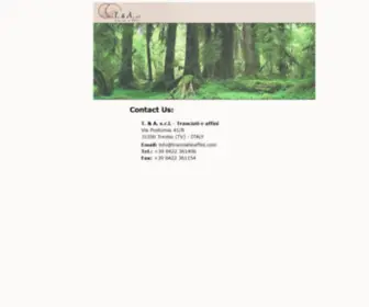 Tranciatieaffini.com(Vendita legno tranciato) Screenshot