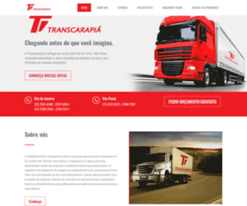 Transcarapia.com.br(Transcarapi) Screenshot